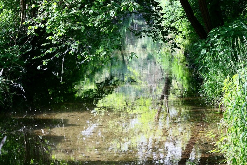 Un mondo riflesso...